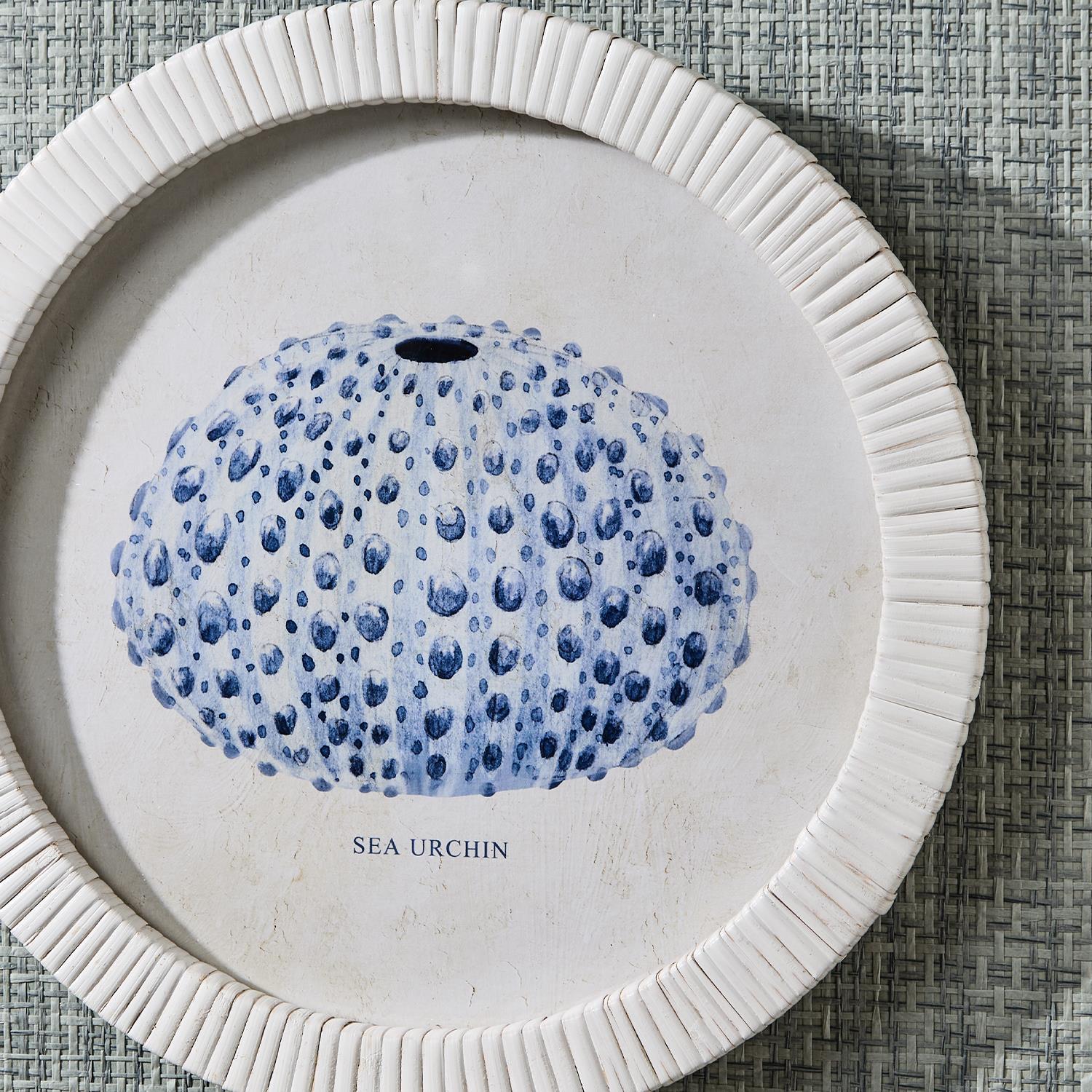 Sea Urchin Framed Prints, Set of 4 - Image 3