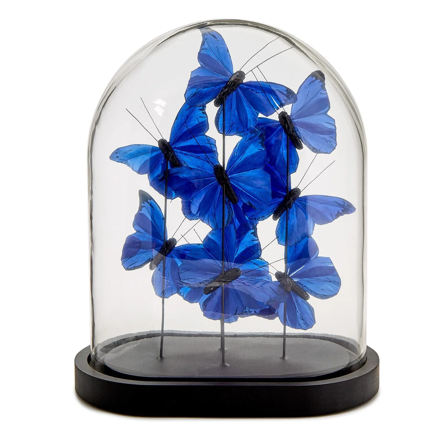 Ultramarine Butterflies in Oval Dome - Image 3